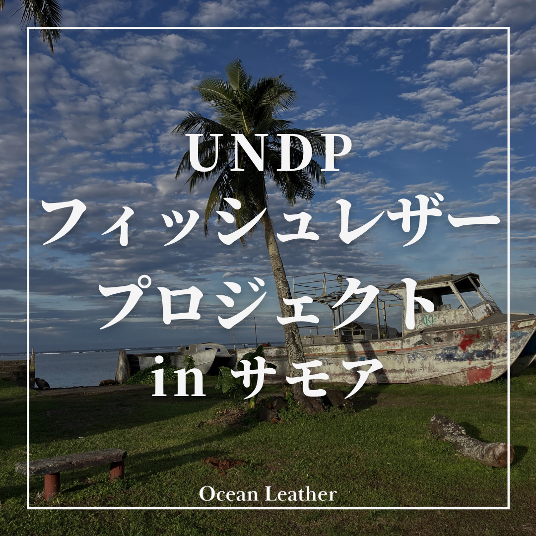 「Japan SDGs Innovation Challenge 」プロジェクトに参加しています！ - Ocean Leather