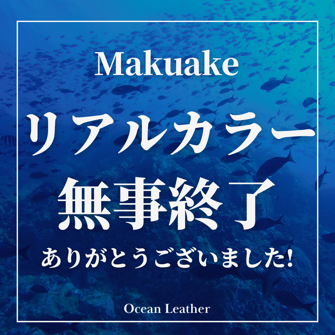 Makuakeプロジェクト終了のご報告と感謝