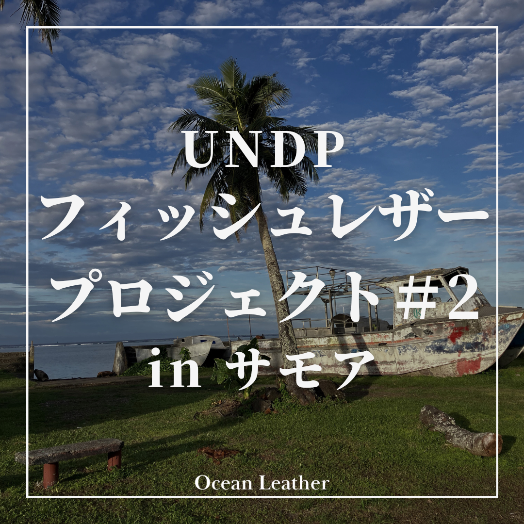 UNDPプロジェクト：サモア #2 - Ocean Leather