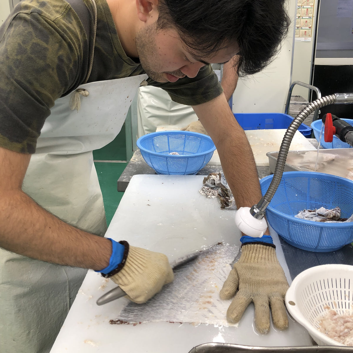 原料である魚の皮について - Ocean Leather