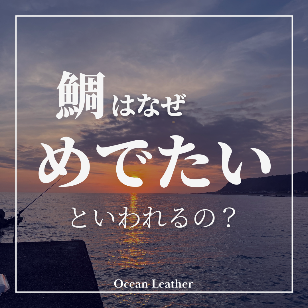 なぜ鯛はめでたいといわれるの？ - Ocean Leather