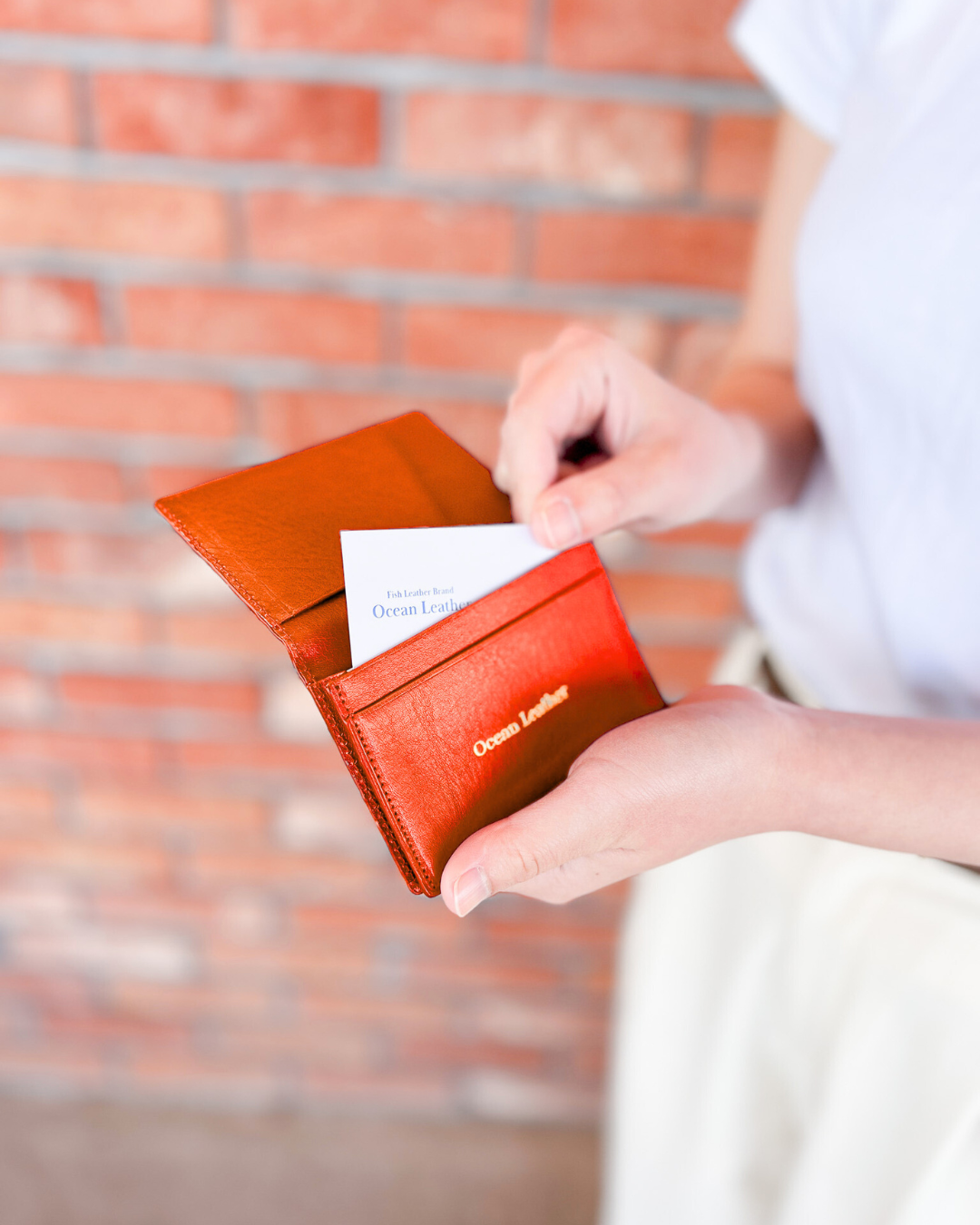 名刺入れ【サーモン】L