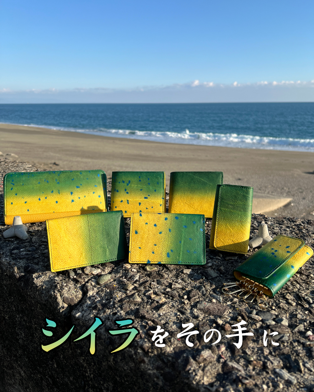 リアルカラー名刺入れ【シイラ】L ｜Ocean Leather（オーシャンレザー）