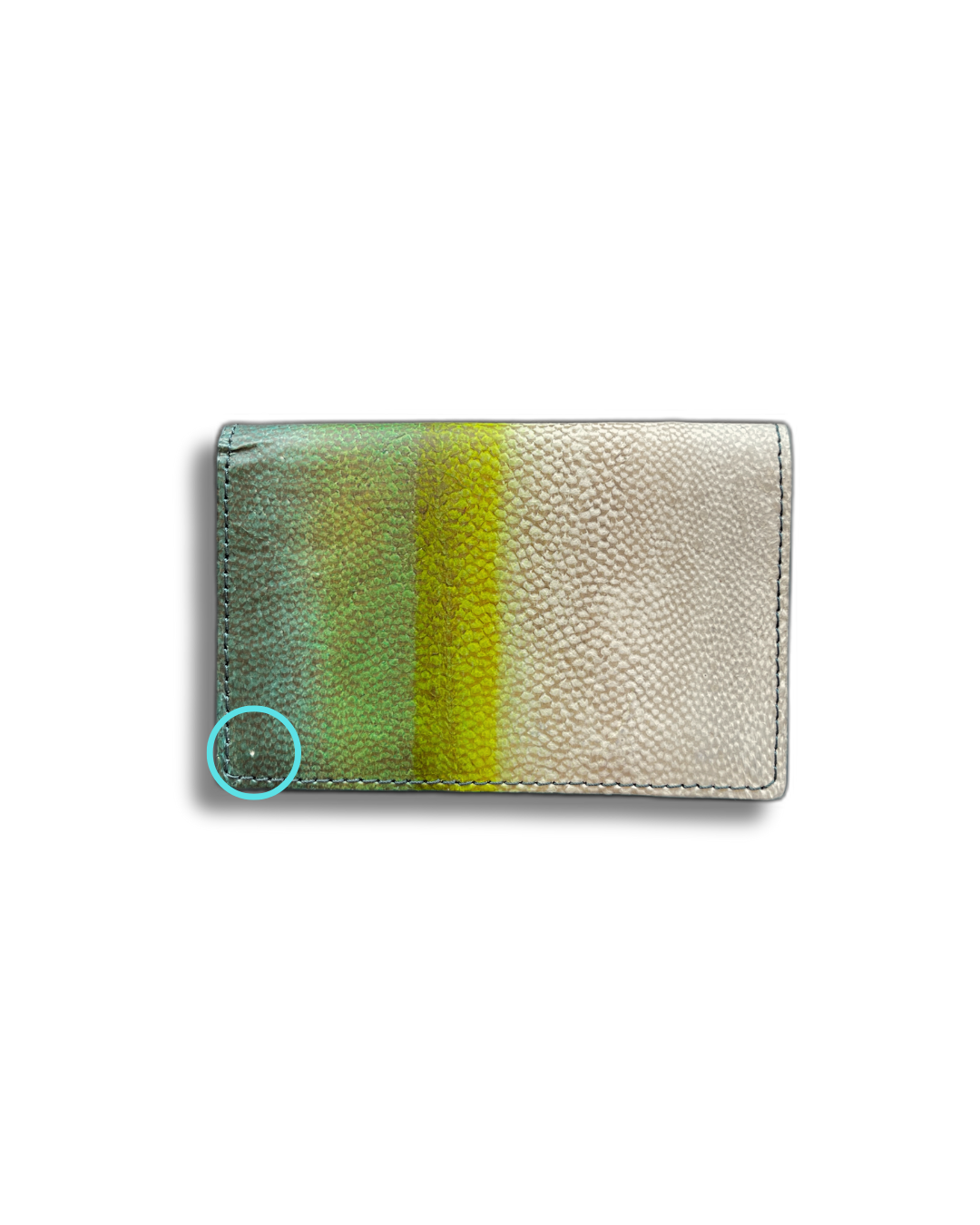 【アウトレット】名刺入れ　ブリ｜Authentic color