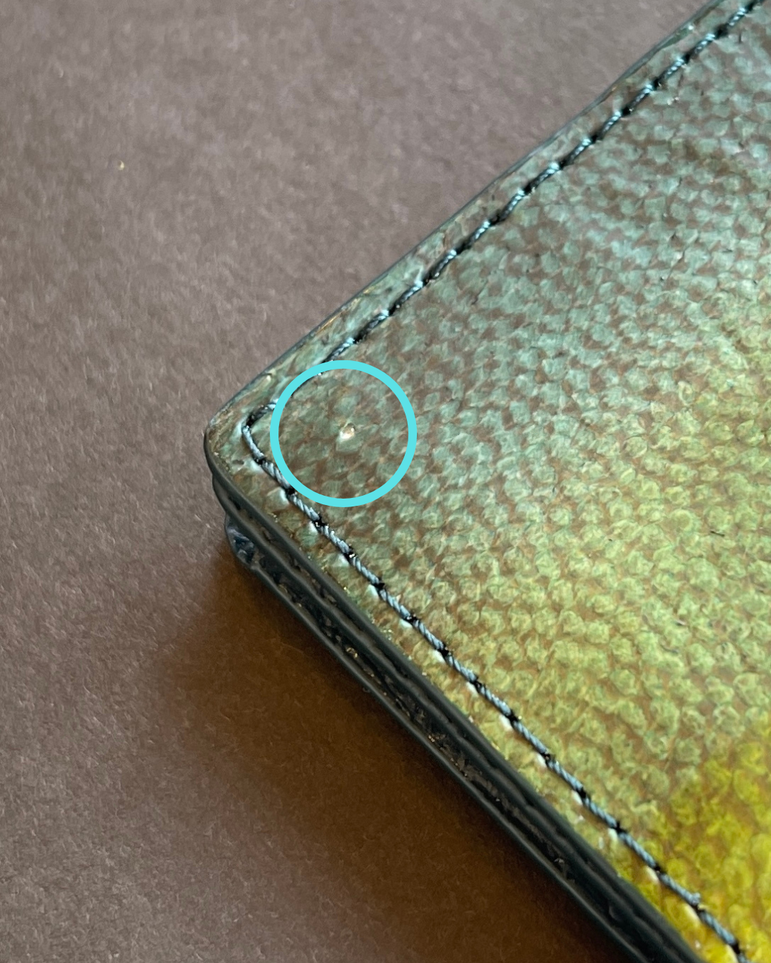 【アウトレット】名刺入れ　ブリ｜Authentic color