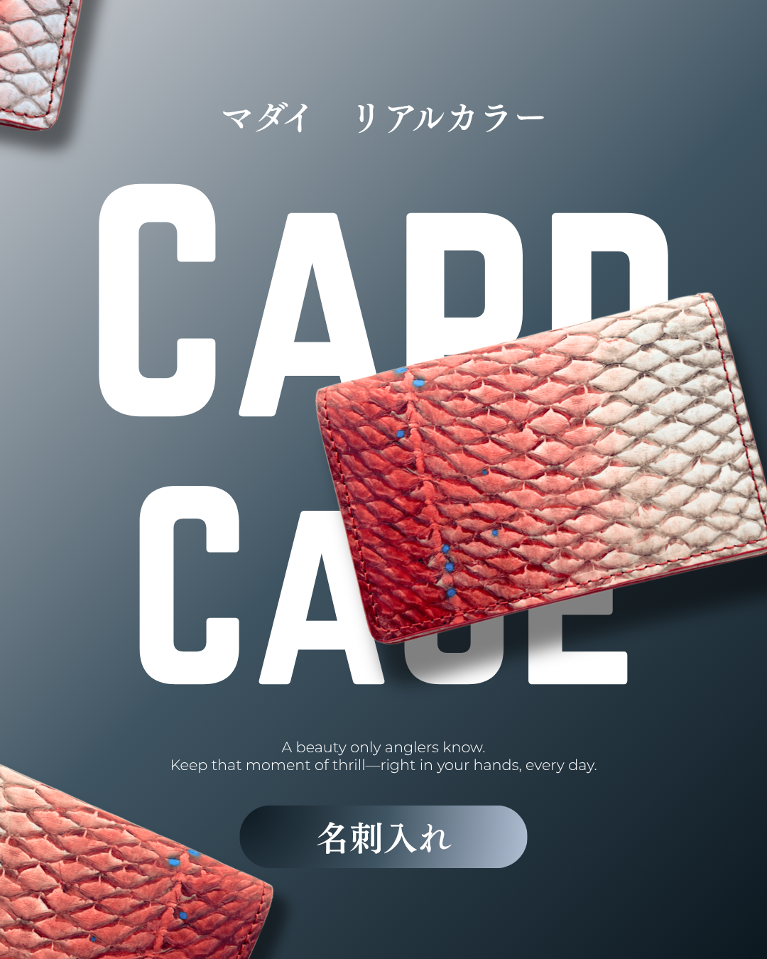 Business card holder [Red Sea Bream]|Authentic Color