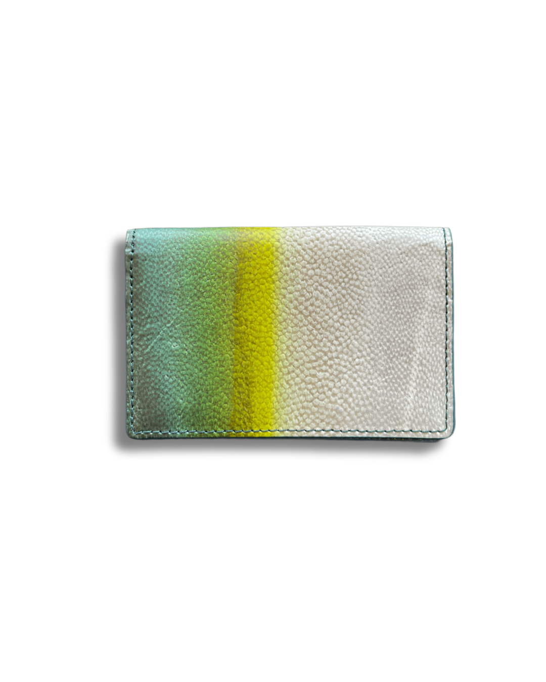 【アウトレット】名刺入れ　ブリ｜Authentic color