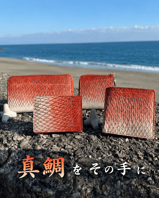Business card holder [Red Sea Bream]|Authentic Color