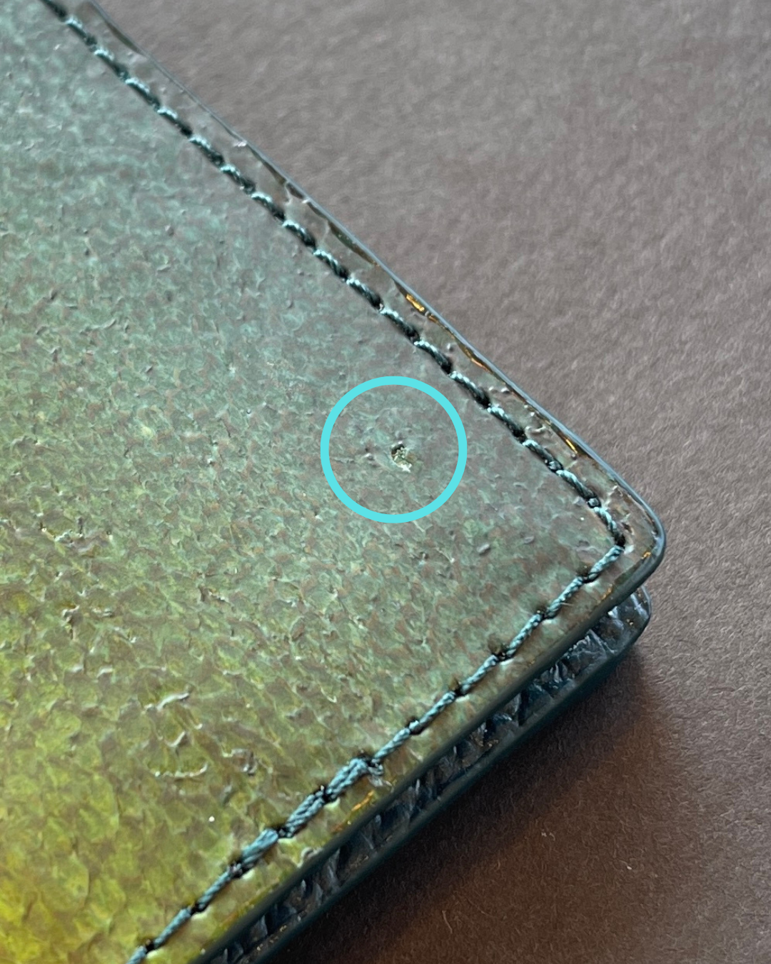 【アウトレット】名刺入れ　ブリ｜Authentic color