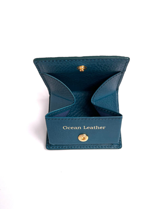 BOX coin case [Japanese amberjack]